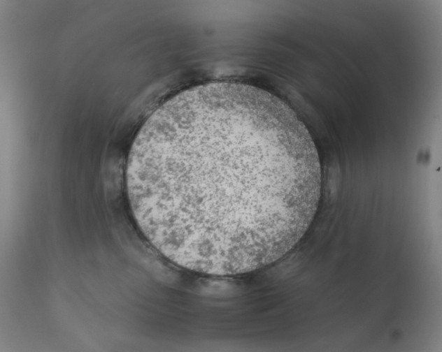 X0000110670475200907021850