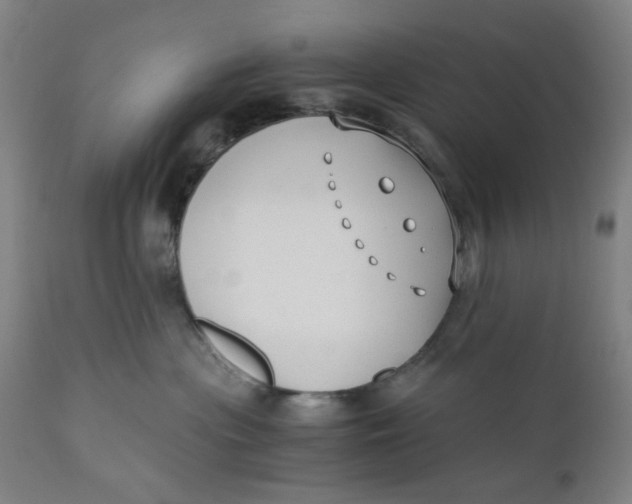 X0000110670477200907021851