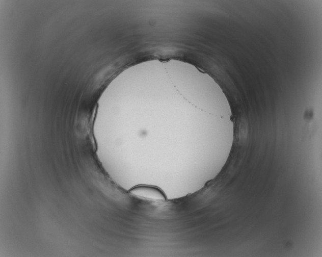 X0000110670478200907021851
