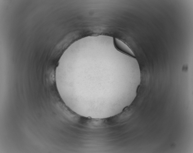 X0000110670479200907021851