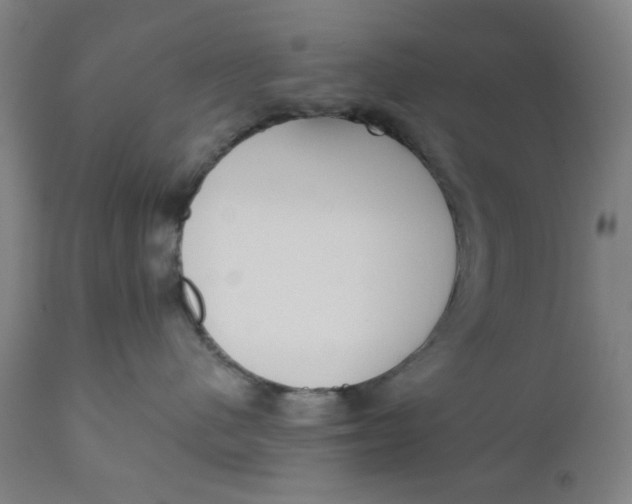 X0000110670480200907021851