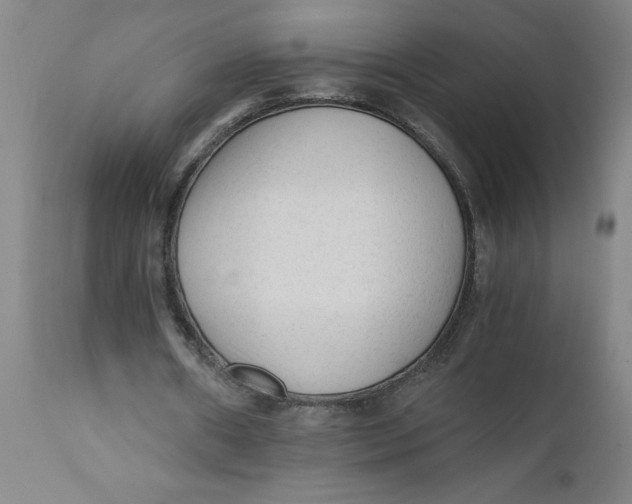 X0000110670482200907021850