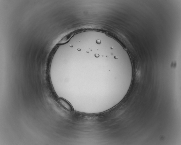 X0000110670484200907021850