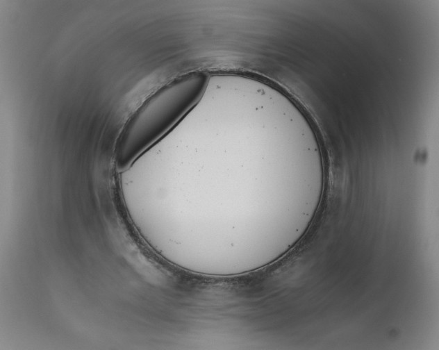 X0000110670485200907021850