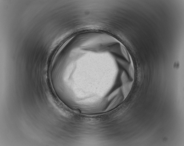 X0000110670486200907021850