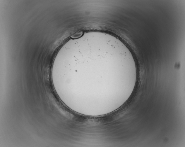 X0000110670489200907021850