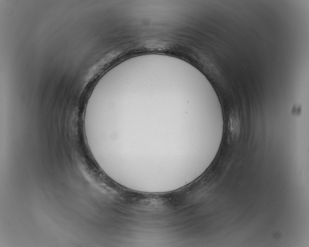 X0000110670492200907021850