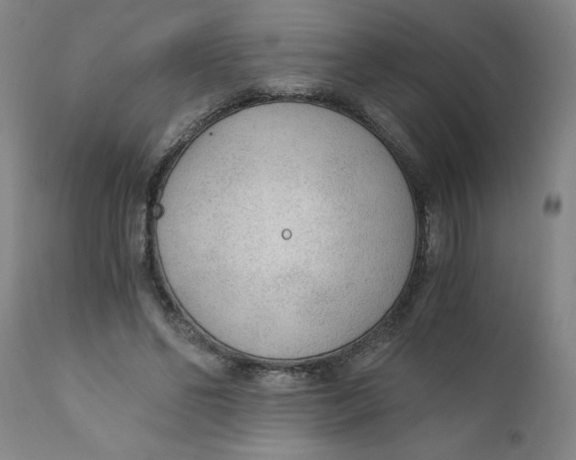 X0000110670494200907021850