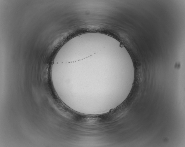 X0000110670495200907021850