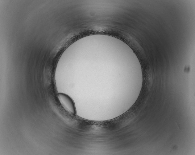 X0000110670496200907021850