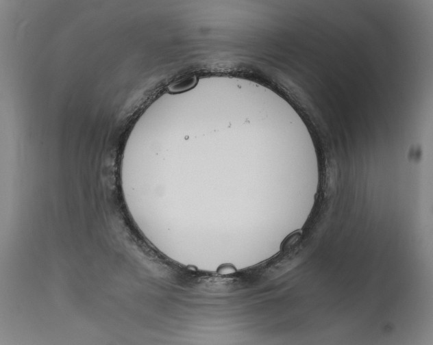 X0000110670497200907021850