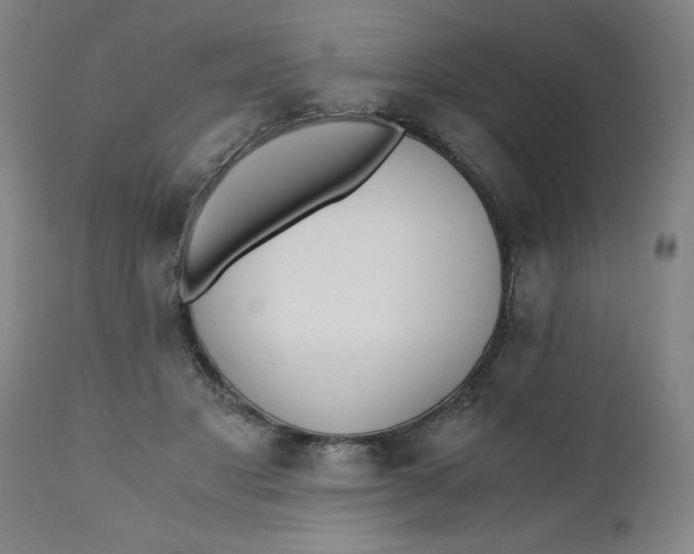 X0000110670501200907021850