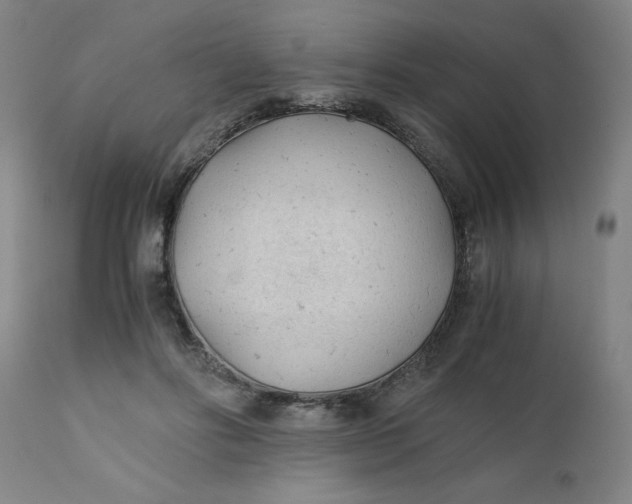 X0000110670502200907021850