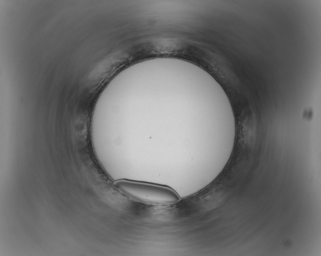 X0000110670505200907021850