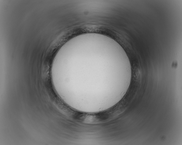 X0000110670507200907021850