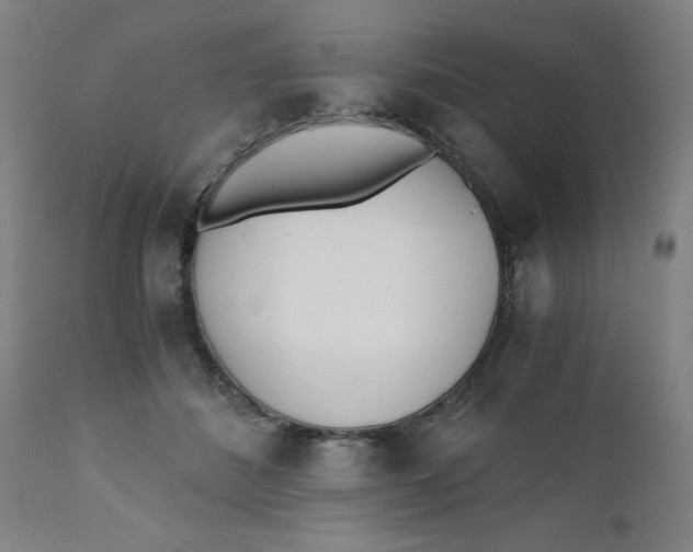 X0000110670508200907021850