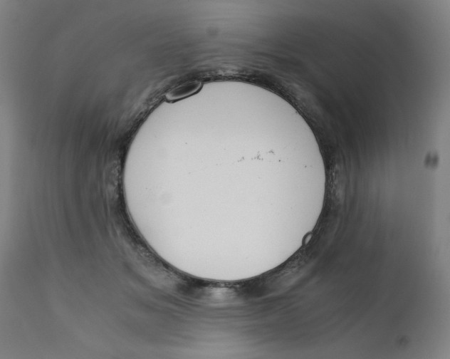 X0000110670509200907021849