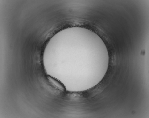 X0000110670512200907021849