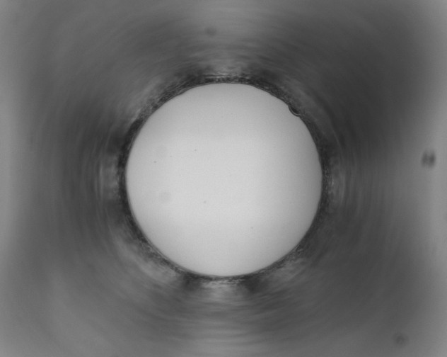 X0000110670516200907021849