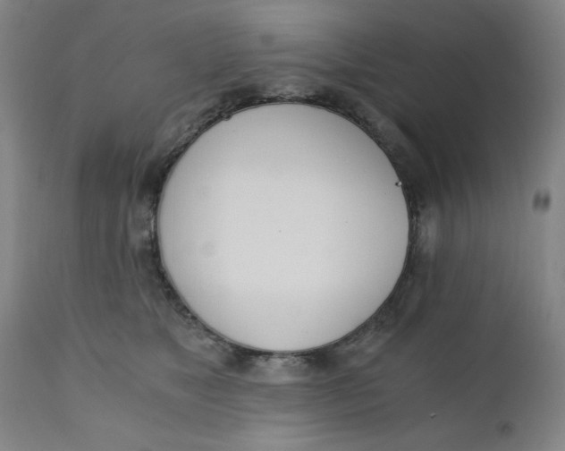 X0000110670517200907021849