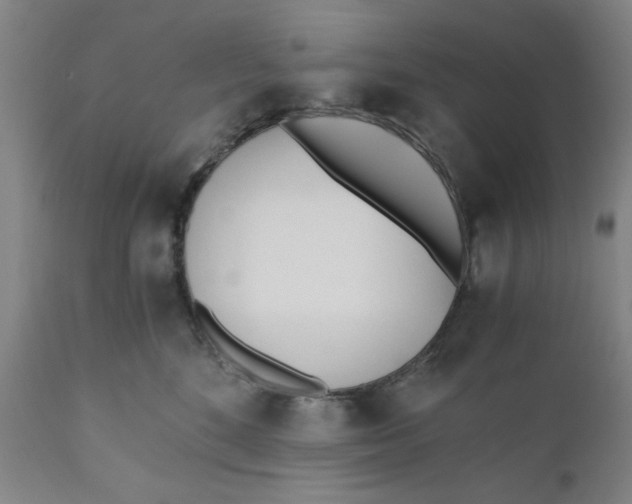 X0000110670520200907021849