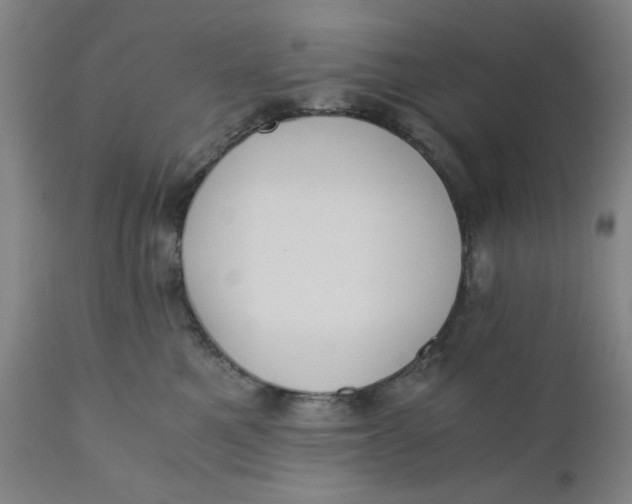 X0000110670521200907021849