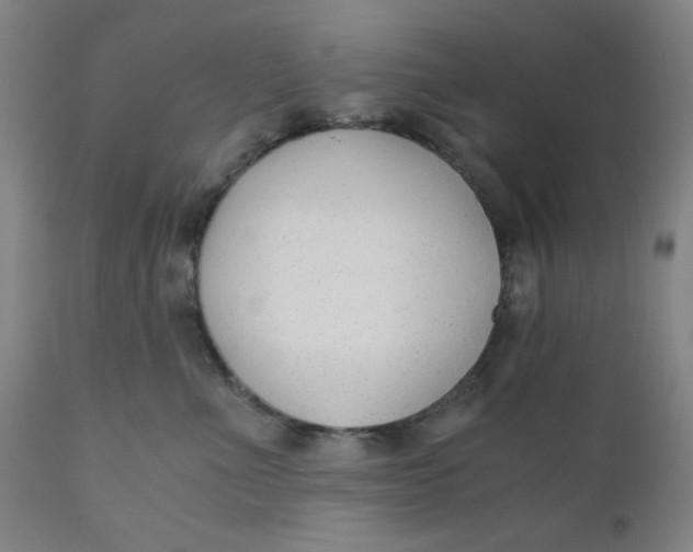 X0000110670523200907021849