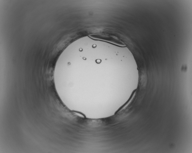 X0000110670525200907021849