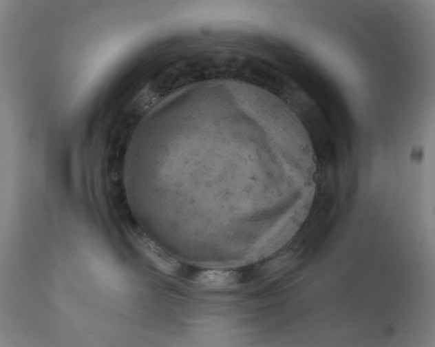 X0000110670526200907021849