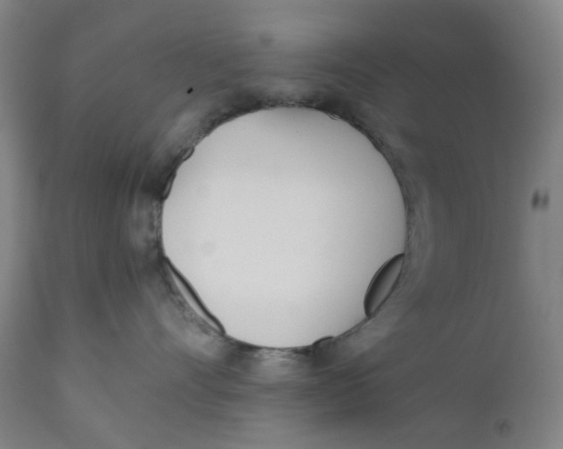 X0000110670528200907021849