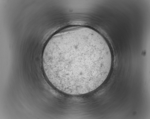 X0000110670529200907021848