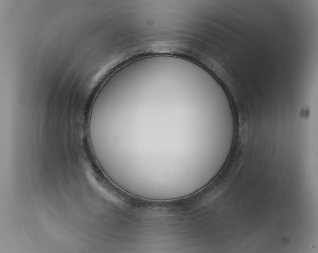 X0000110670530200907021848