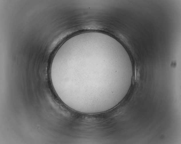 X0000110670531200907021848