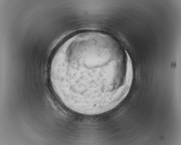 X0000110670532200907021848