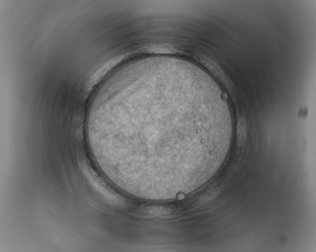 X0000110670533200907021848