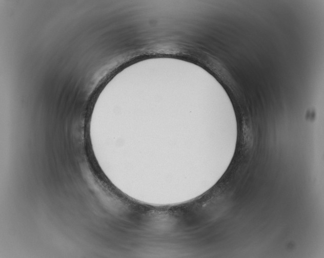 X0000110670534200907021848