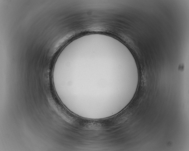 X0000110670535200907021848