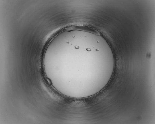 X0000110670536200907021848