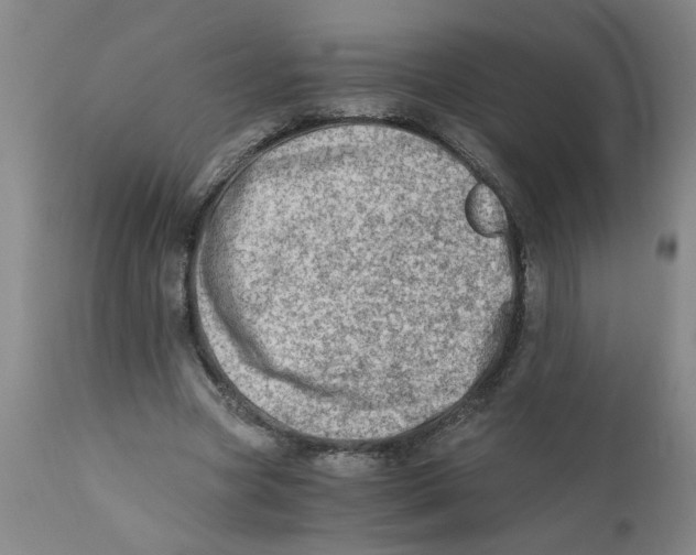 X0000110670537200907021849