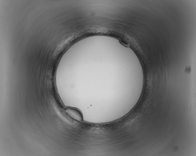 X0000110670538200907021849
