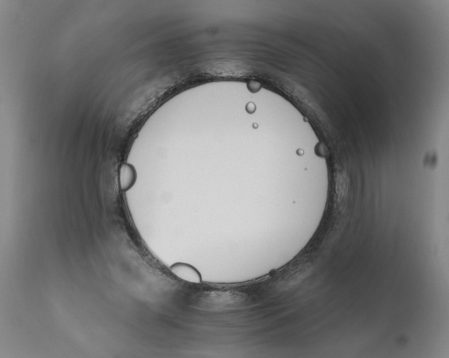 X0000110670541200907021849
