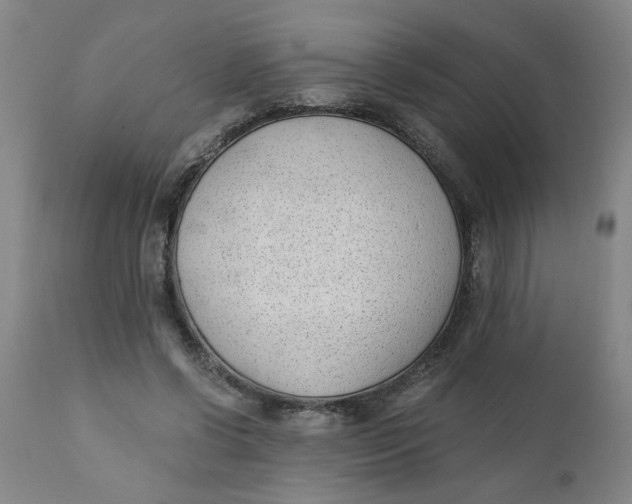 X0000110670542200907021849