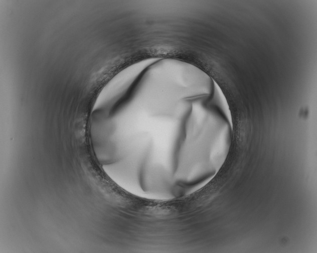 X0000110670545200907021849