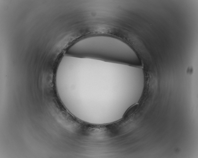 X0000110670548200907021849
