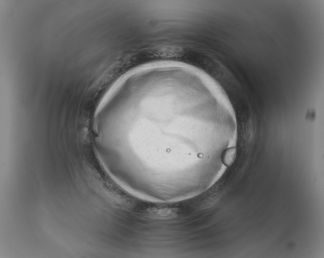 X0000110670553200907021849