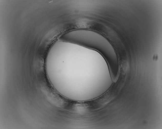 X0000110670556200907021849