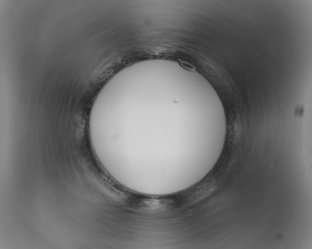 X0000110670558200907021849