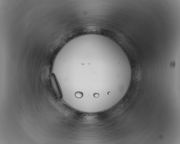 X0000110670560200907021849
