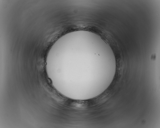 X0000110670563200907021849