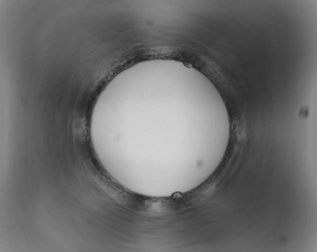 X0000110670564200907021849